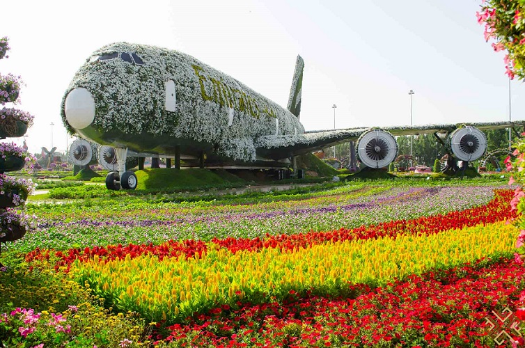 dubai-miracle-garden-14_0